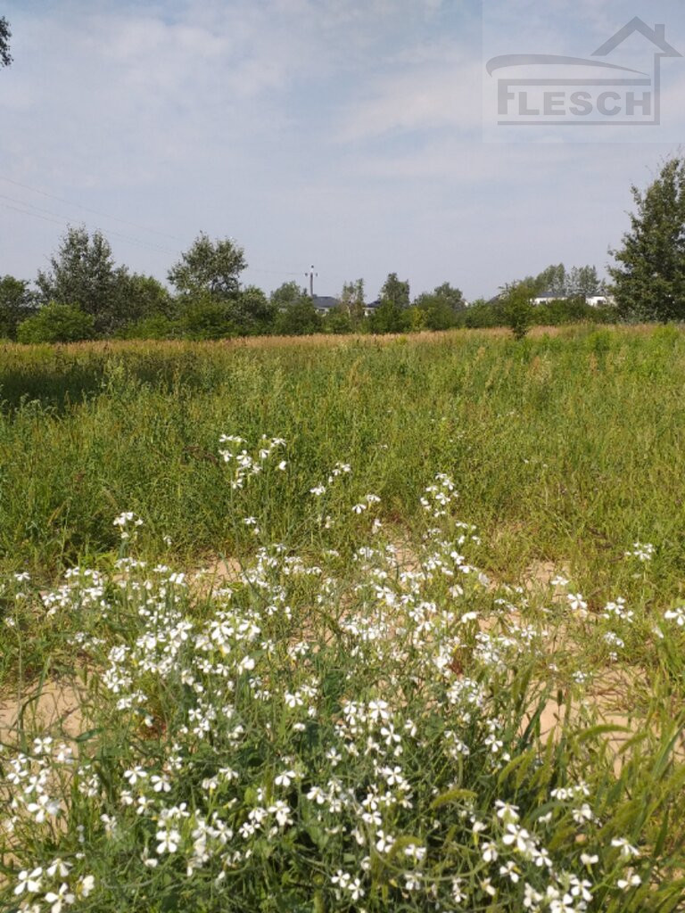 Działka Sprzedaż Michałowice-Wieś 4