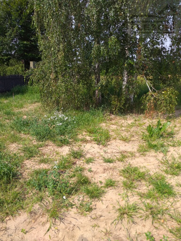 Działka Sprzedaż Michałowice-Wieś 5