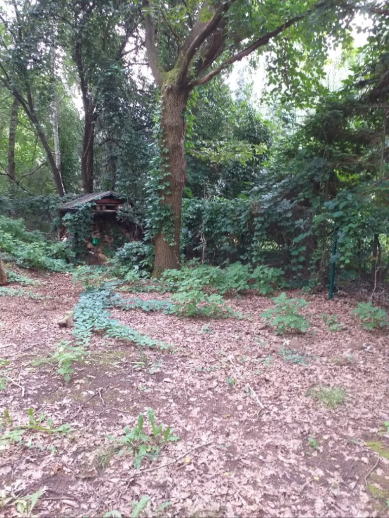 Działka Sprzedaż Komorów 4