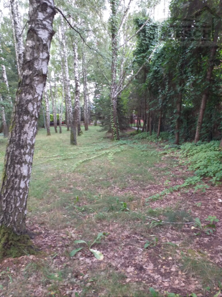 Działka Sprzedaż Komorów