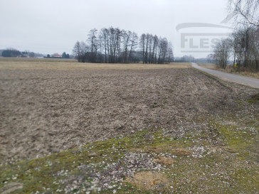 Działka Sprzedaż Lisówek