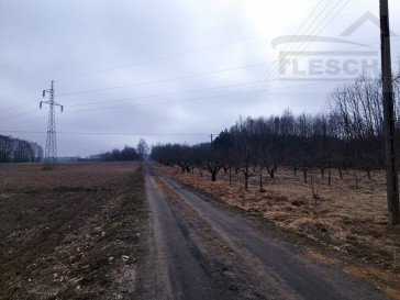 Działka Sprzedaż Lisówek