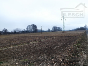 Działka Sprzedaż Lisówek