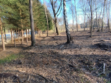 Działka Sprzedaż Mościska Skowronkowa