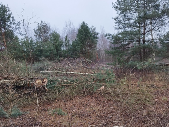 Działka Sprzedaż Zalesie 7