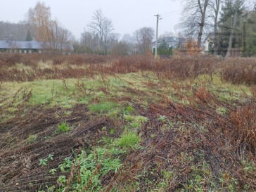Działka Sprzedaż Adamów-Wieś