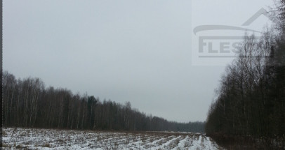 Działka Sprzedaż Słubica Dobra