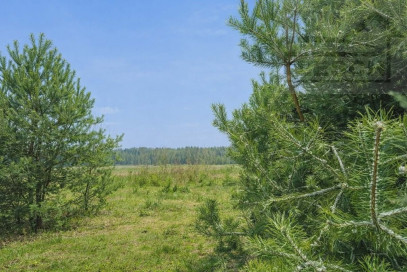 Działka Sprzedaż Siestrzeń