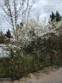 Działka Sprzedaż Sękocin Nowy