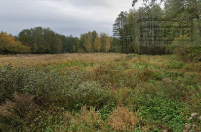 Działka Sprzedaż Adamów-Wieś