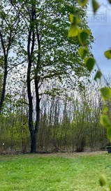 Działka Sprzedaż Żółwin