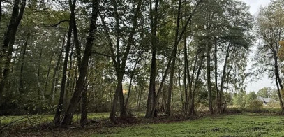 Działka Sprzedaż Adamów-Parcel