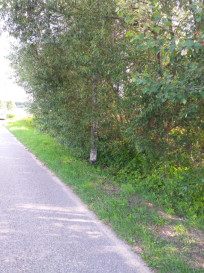 Działka Sprzedaż Krakowiany
