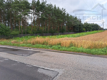 Działka Sprzedaż Nowa Piasecznica