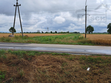 Działka Sprzedaż Nowa Piasecznica