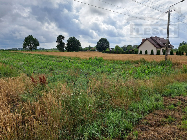Działka Sprzedaż Nowa Piasecznica 1