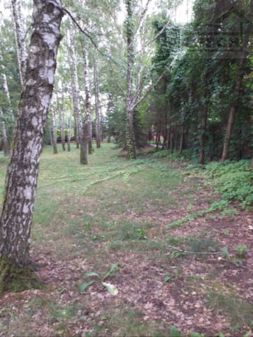 Działka Sprzedaż Komorów 2