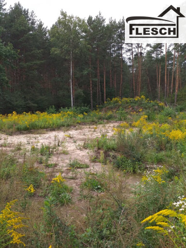 Działka Sprzedaż Stara Wieś 3