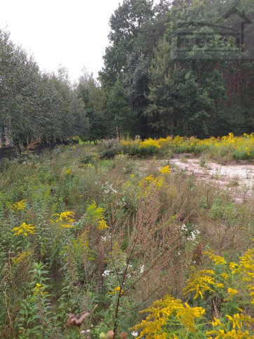 Działka Sprzedaż Stara Wieś 6