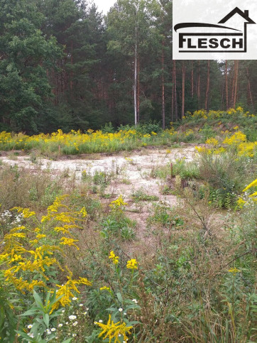 Działka Sprzedaż Stara Wieś 1