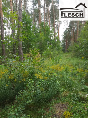 Działka Sprzedaż Stara Wieś 5