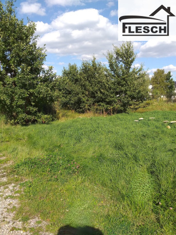 Działka Sprzedaż Żółwin 1
