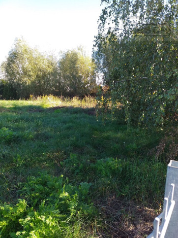 Działka Sprzedaż Święcice 2